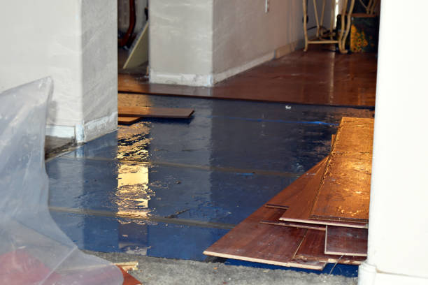 Professional Basement Water Removal technician working in Franklin, TX