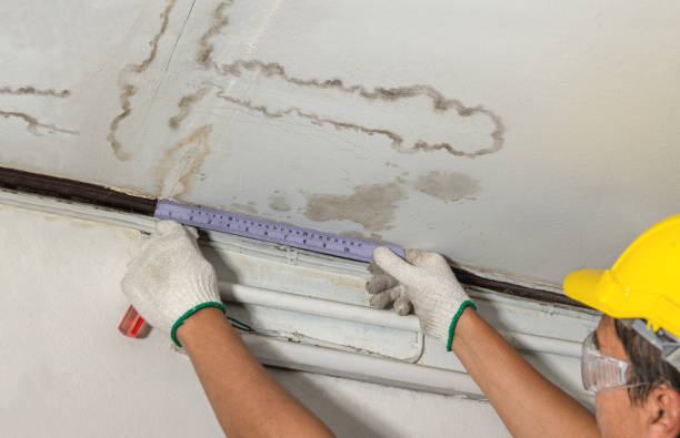 Reliable Basement Water Removal contractor in Franklin, TX by Water Damage Irwin